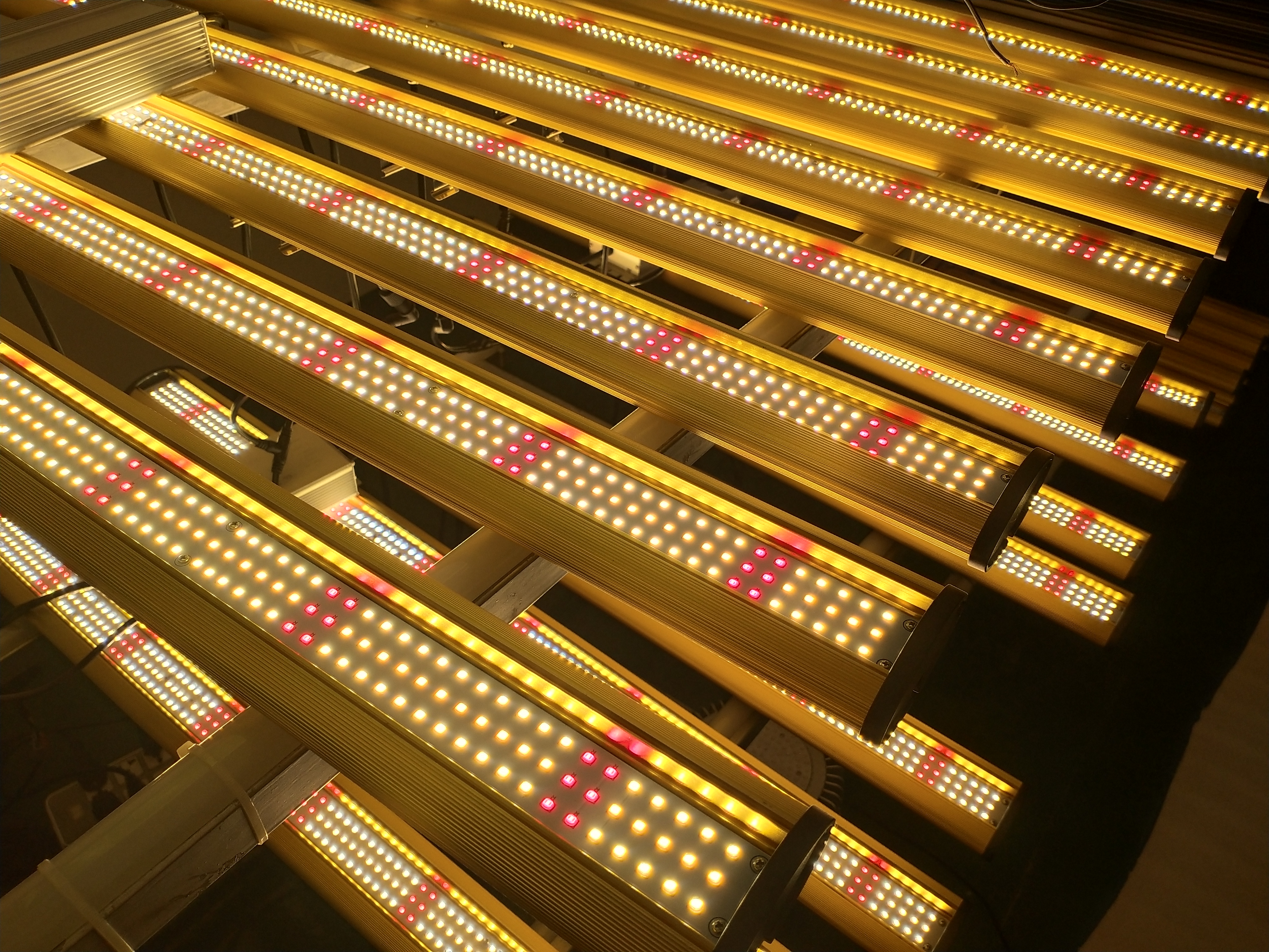 LED Grow Light 1